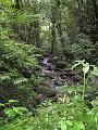 Enbas Saut Falls Hike